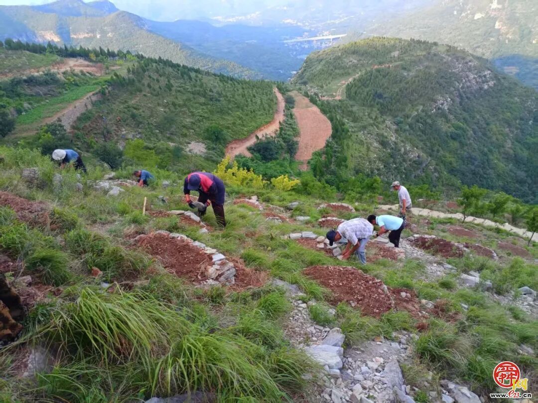 城市因园林更美好 生活因园林更幸福——2025年济南市园林和林业绿化局高质量成果展（生态建设篇）