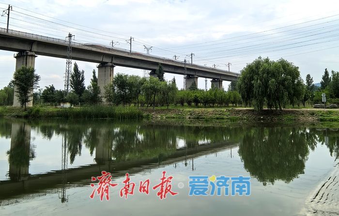 一年四季 泉在济南丨济南玉符河雨后美如画 市民踏浪戏水享夏日清凉