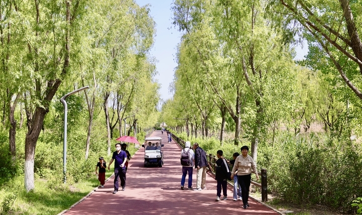 去济西湿地体验含“绿”量百分百的旅行