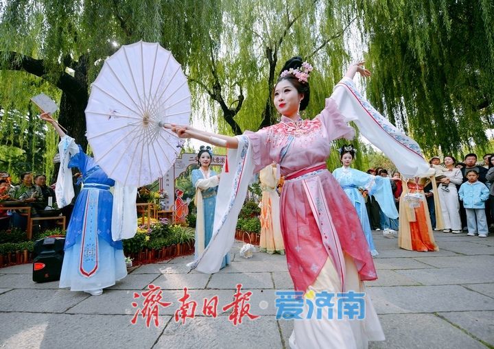 泉畔秋色菊香可待，济南市第47届趵突泉金秋菊展正式启幕