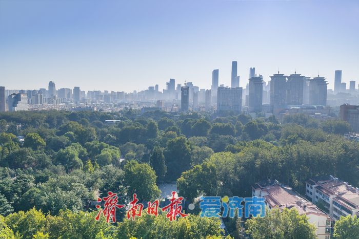 一年四季 泉在济南｜城芯林海秋意浓，济南百花公园扮靓泉城宜居空间
