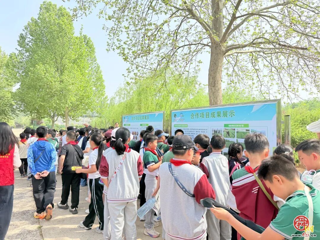 “绿满齐鲁 ——‘森’临其境·守护地球”