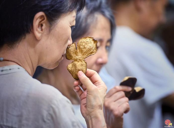 700家品牌茶企齐聚泉城 2024济南国际茶博会开幕