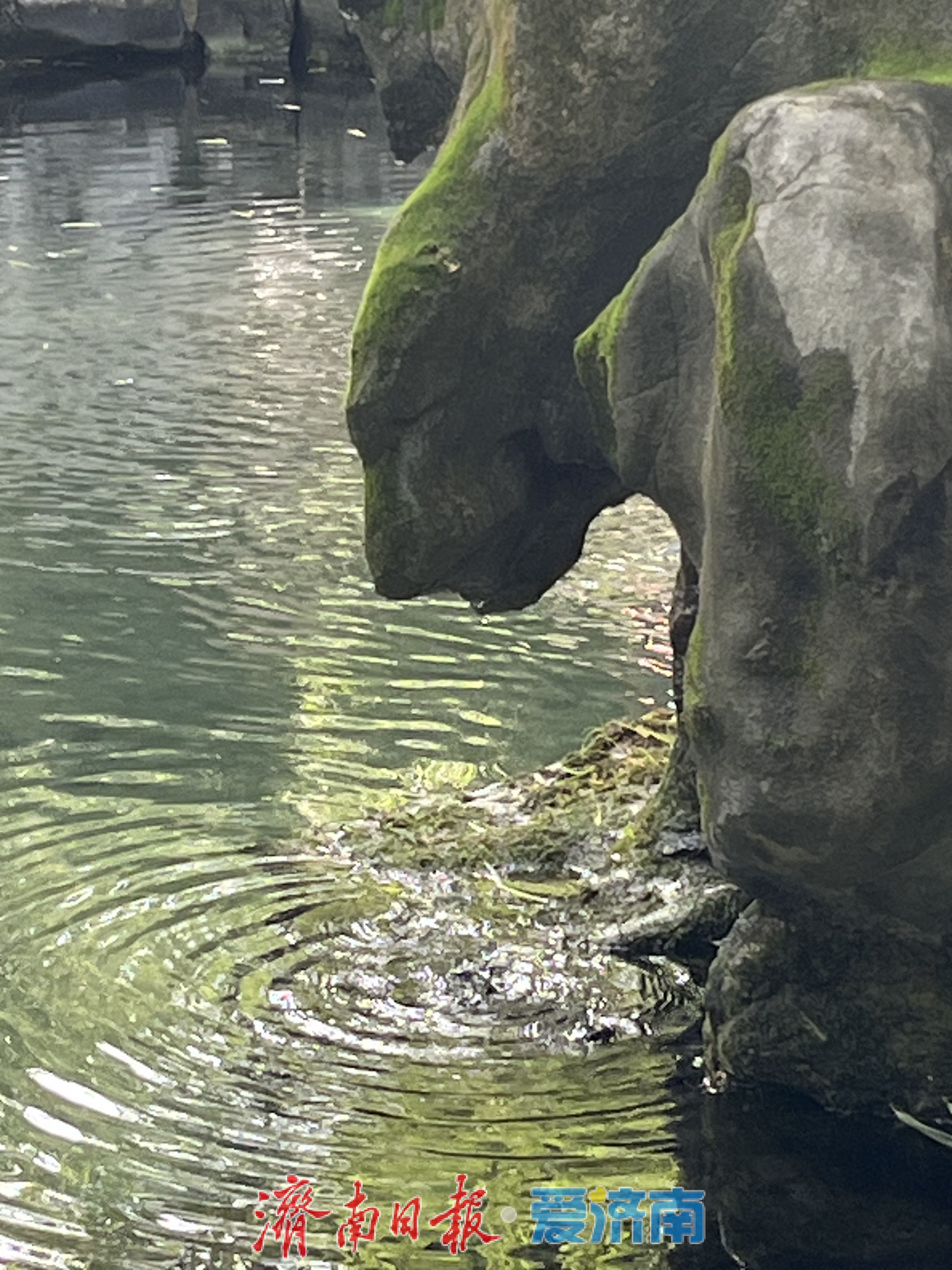 不只是美景！月牙泉“苏醒”，解锁济南的N重历史文化密码