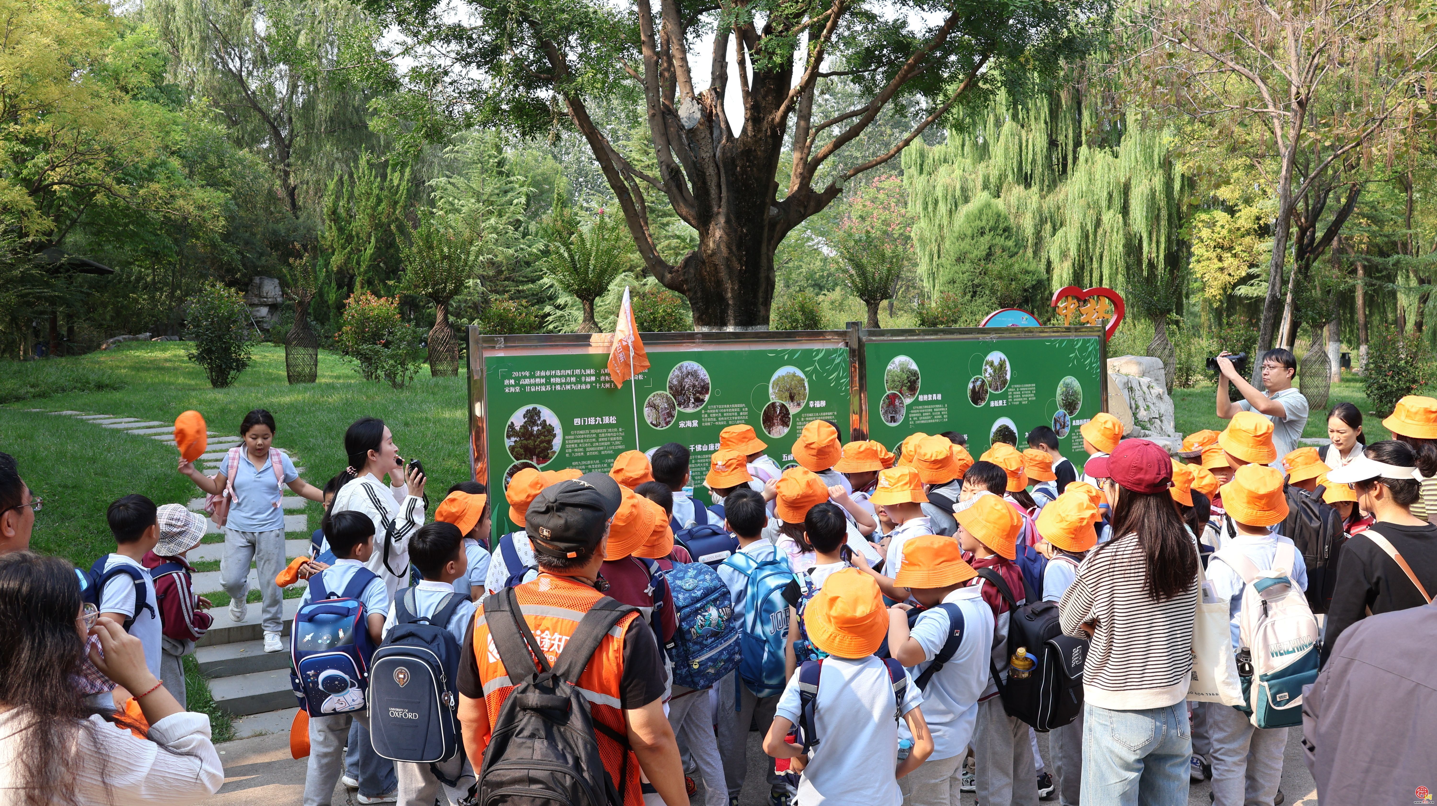 植绿护绿全民行｜“护”百年古树 “植”绿色未来济南市“全民义务植树+古树研学”活动走进济南植物园