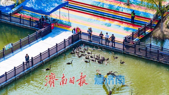 一年四季 泉在济南丨泉城晴空万里 济西湿地焕生机