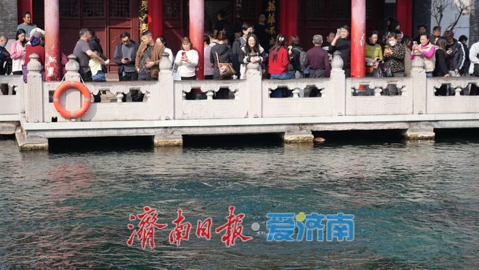 趵突泉地下水位逼近黄色警戒线 雨雪将至，有望提供一定“补给”