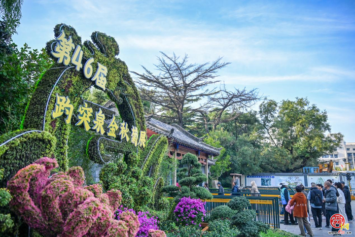 第46届趵突泉金秋菊展即将点亮泉城秋色