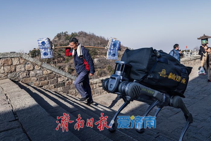 泰山之巅的对话——千年挑山工与科技机器狗并肩护生态