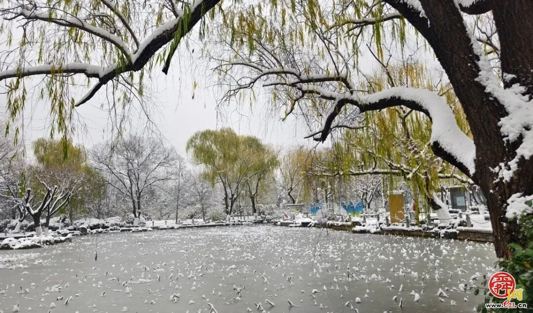 雪漫泉城园 九景入画来