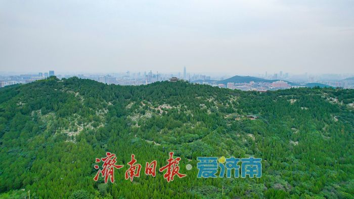 郎茂山公园：城市中的自然氧吧，市民休闲新选择