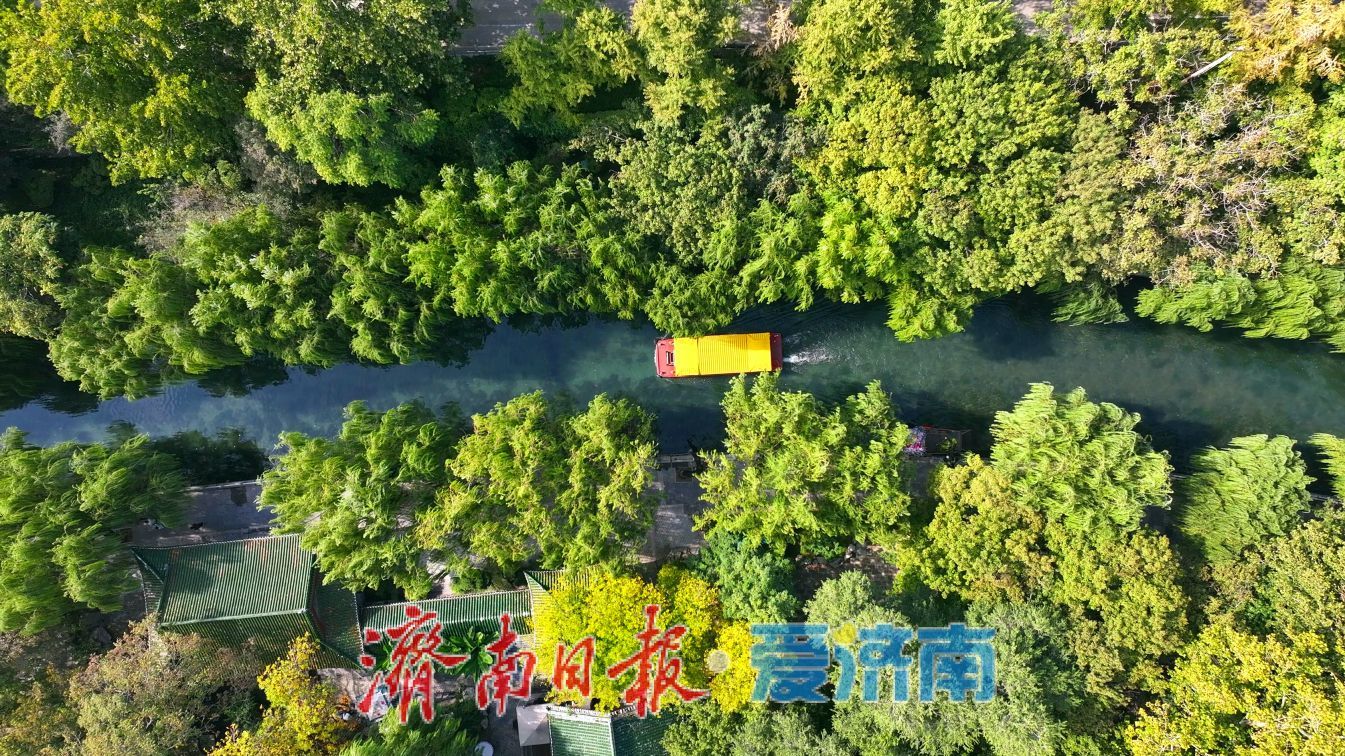 绿意直达居民“家门口”！历下区104座公园织就全域绿网