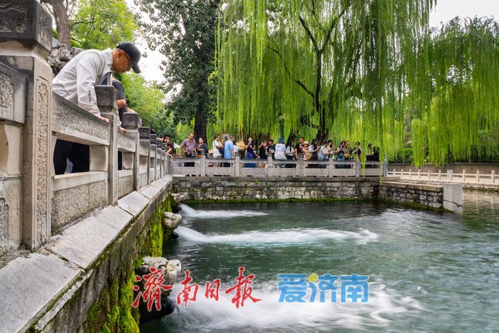 一年四季 泉在济南丨泉畔寻秋，济南秋日泉水游升温