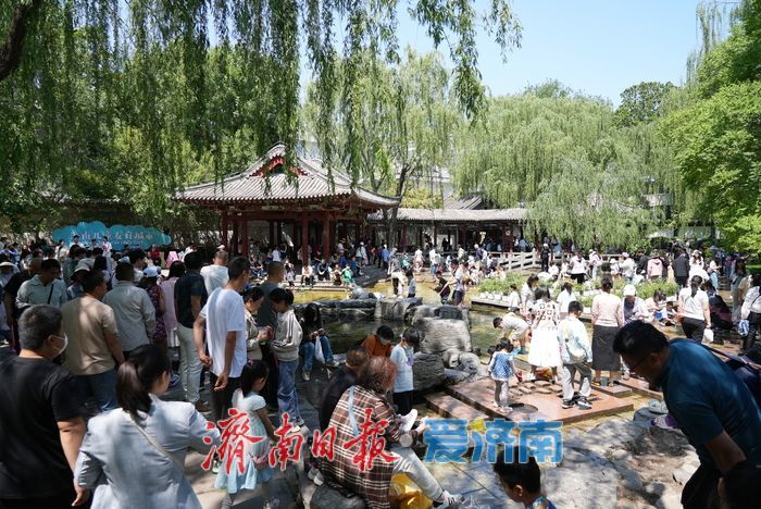 一年四季 泉在济南丨“五一”假期亲泉游升温，亲子戏水沉浸式感受泉城魅力