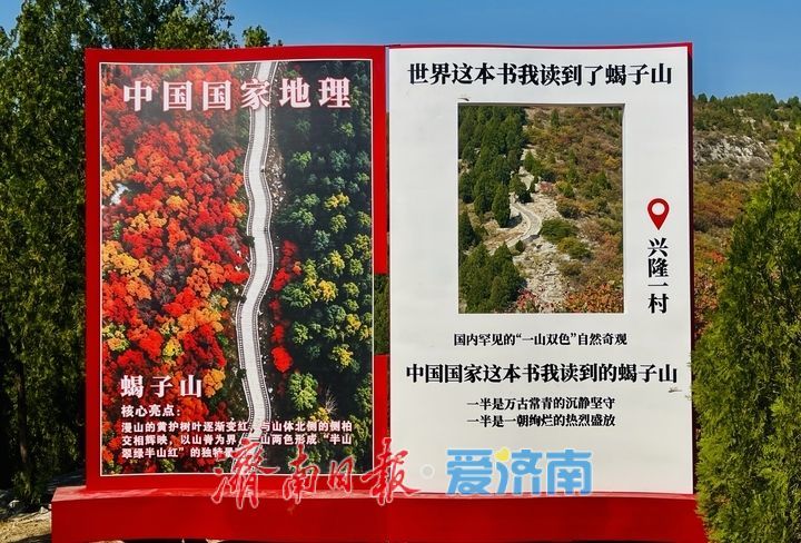 一年四季 泉在济南丨一山两季！泉城蝎子山秋色渐浓