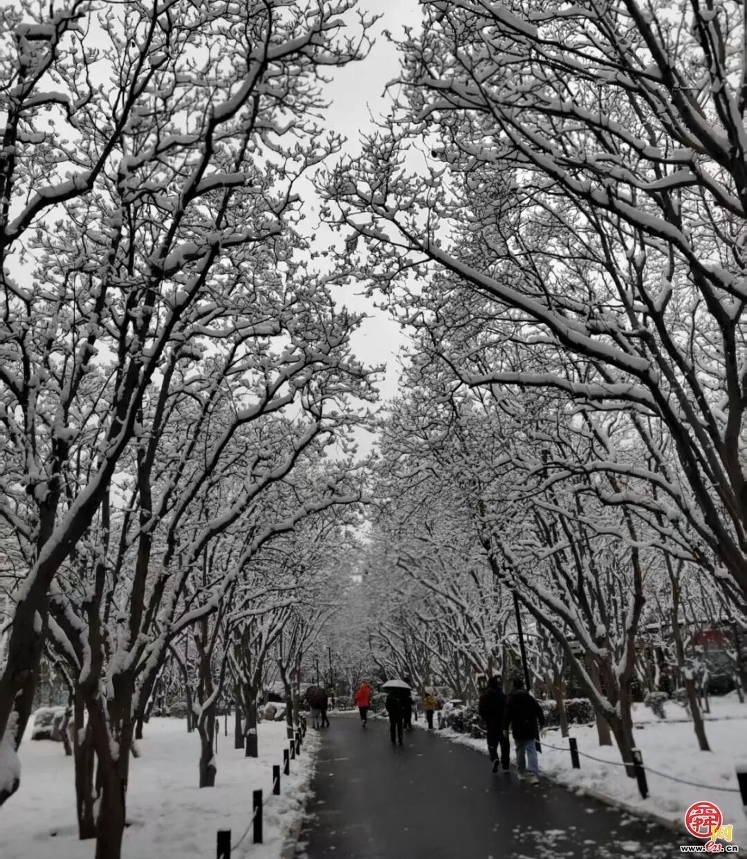 雪漫泉城园 九景入画来