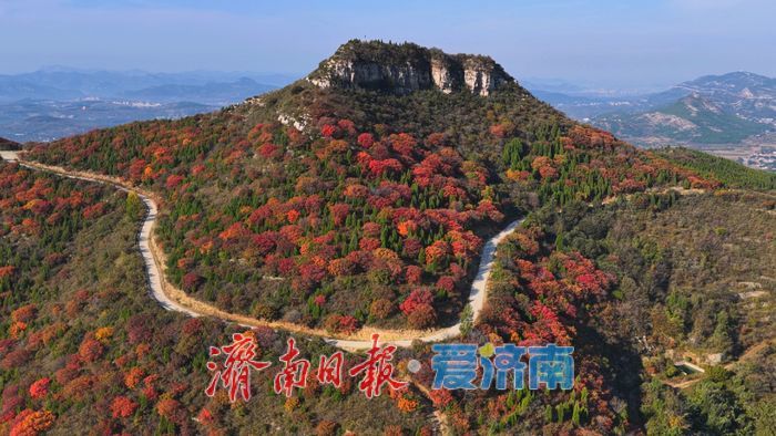 限定美景！南部山区红叶季，邂逅一片斑斓秋色