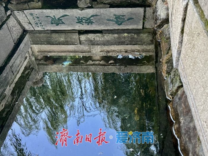 一年四季 泉在济南丨金线泉再现“金线游动” 秋日泉景引客赏
