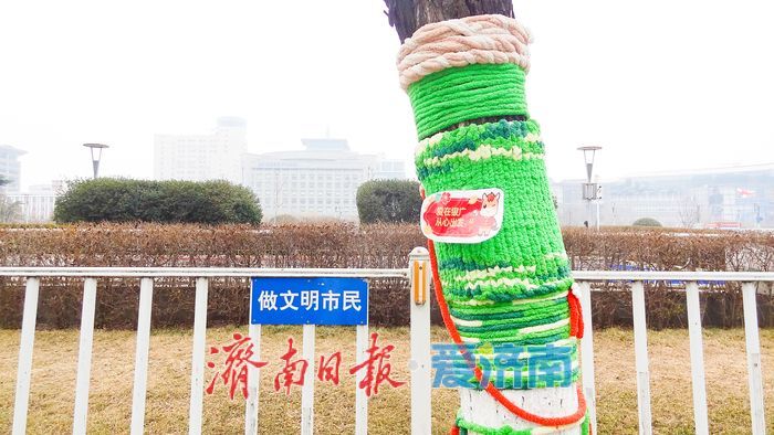 泉城广场树干“穿”彩衣 寒冬添暖又添景