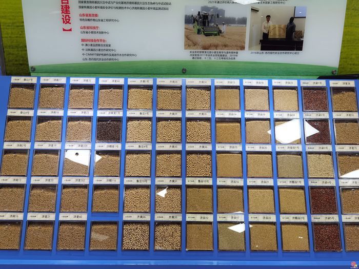 加快科技成果转化重点提案督办！市政协开展现场“商量”