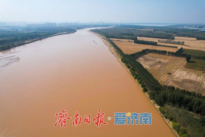 大河铺画卷 济南黄河秋韵盎然