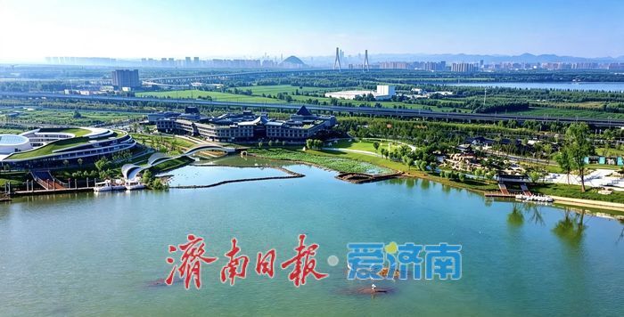 市鸟“安家落户”，济南起步区大寺河迎来“生态哨兵”