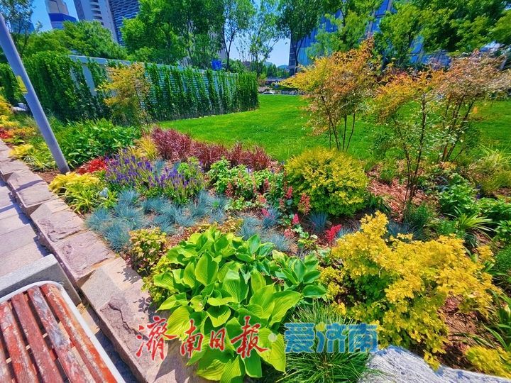 方寸园林藏诗意 泉城广场添雅韵 微型园林景观惊艳亮相城市会客厅