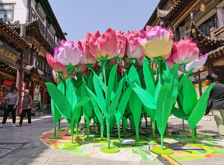 “泉”在济南过五一｜“花漾街区”扮靓大观园