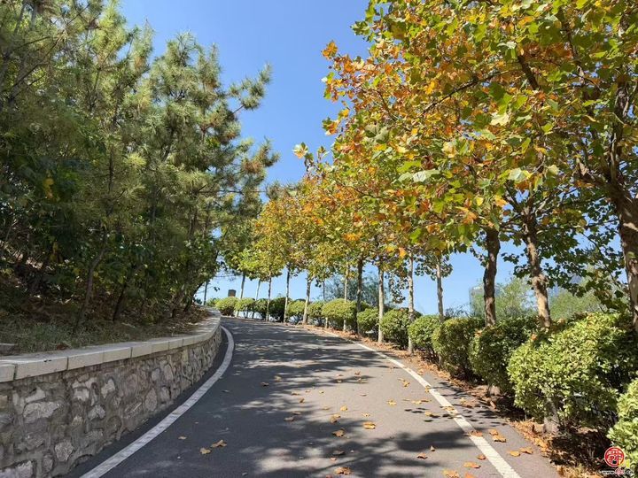 打卡济南大山坡，感受山与城