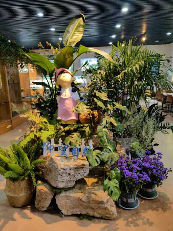 秋日限定！济南公园景区邀你共赴美好之约