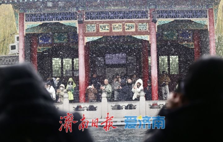 一年四季 泉在济南丨趵突泉“云雾润蒸”引客来