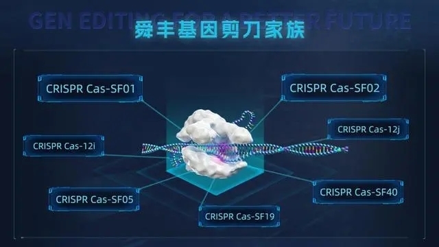 1131亿斤“山东粮”背后有何“密码”？
