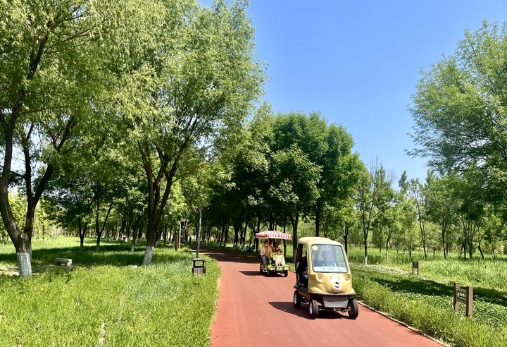 去济西湿地体验含“绿”量百分百的旅行