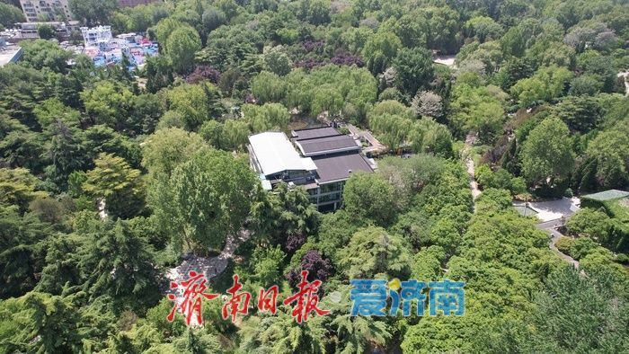 一年四季 泉在济南｜暮春时节百花公园，满目绿意处处皆景