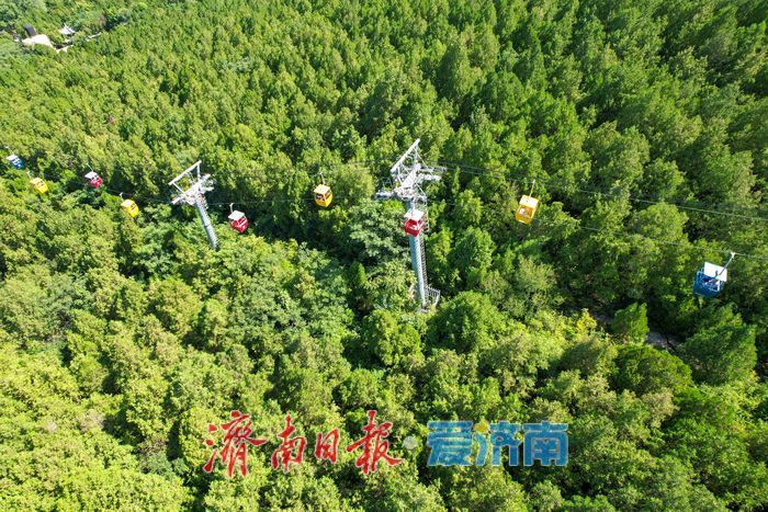千佛山登高赏秋 尽享泉城诗意
