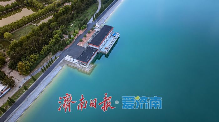 一年四季 泉在济南丨济南鹊山水库：生态美景绘就城市“绿意长卷”