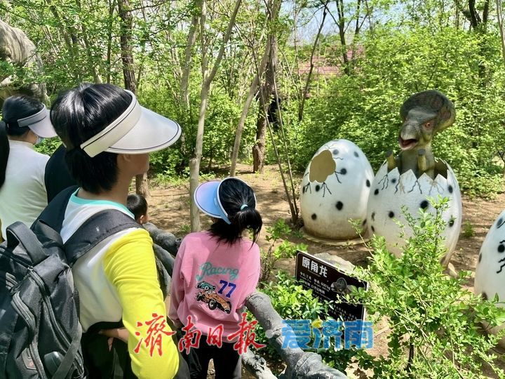 遛娃胜地！快去济南这座“侏罗纪公园”开启奇妙冒险吧