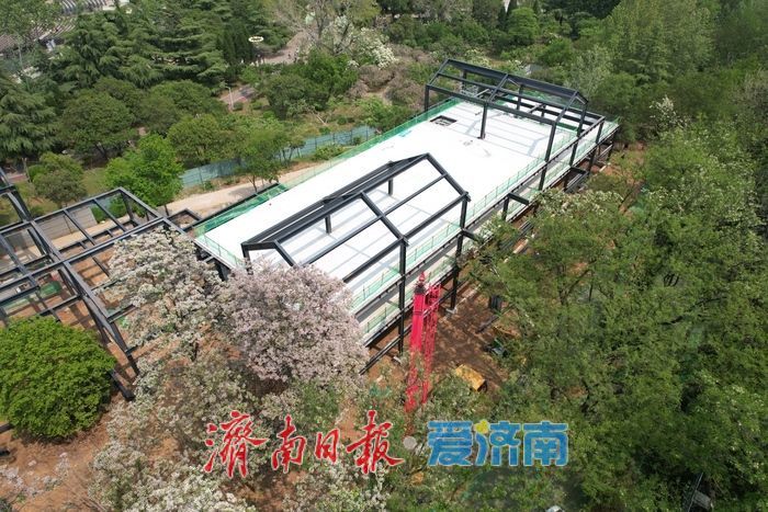 泉城公园菊花圃园游客驿站主体成型