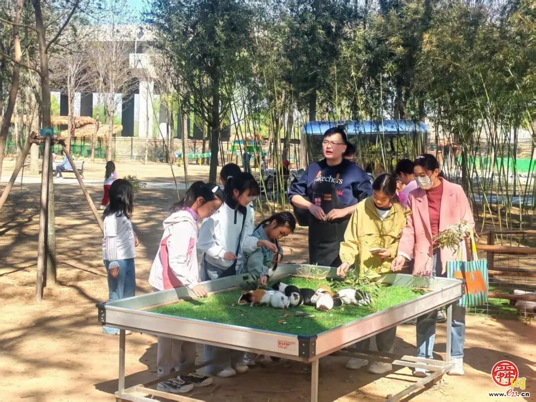 一站式承包假期美好时光  济南鲜花港玩转露营烧烤+花海萌宠