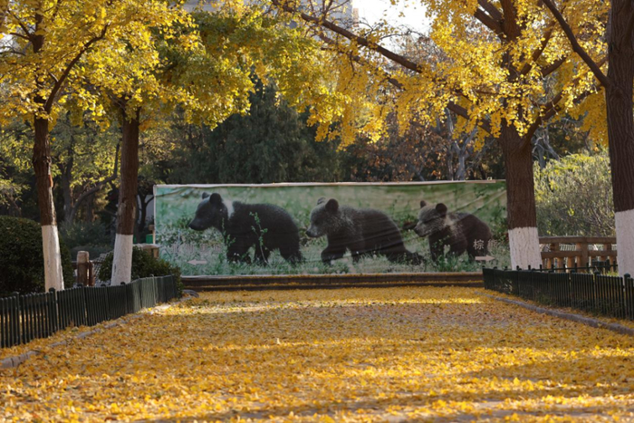 秋日限定！济南公园景区邀你共赴美好之约