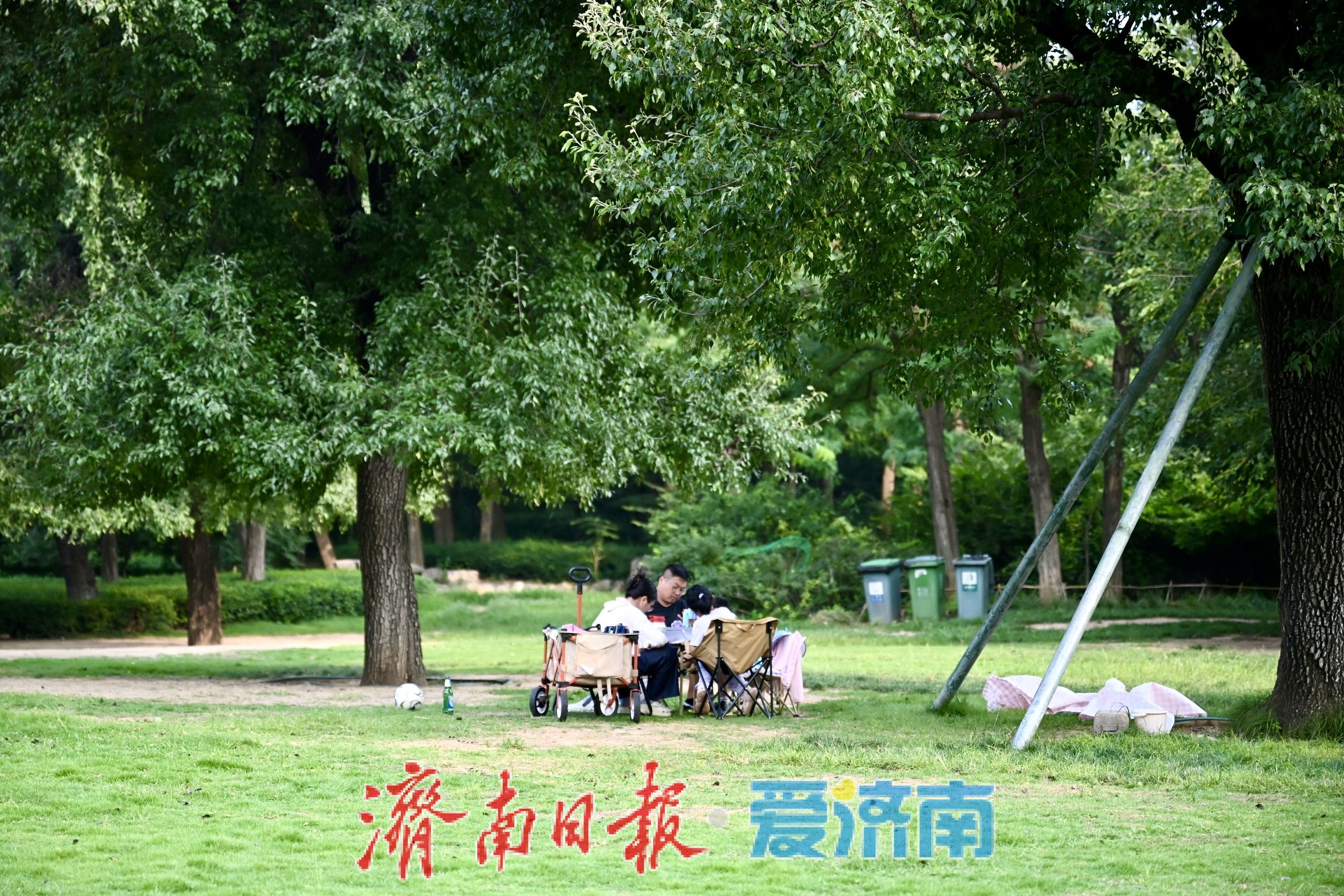 一年四季 泉在济南丨济南森林公园绿地草坪变身避暑胜地，市民林间纳凉乐享夏日慢时光