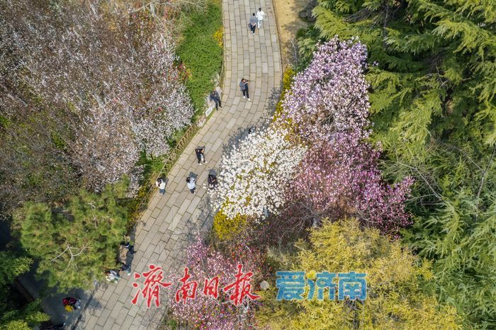 一年四季 泉在济南丨五龙潭春意上线