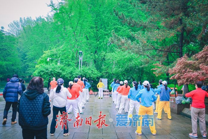 一年四季 泉在济南｜春雨润泉城 济南森林公园春日晨雨后换新颜