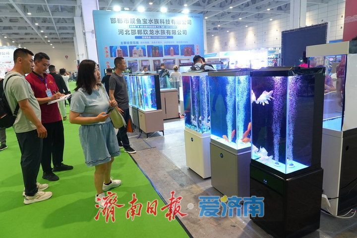 精彩纷呈！2025年第十二届中国（山东）国际宠物水族用品展开幕