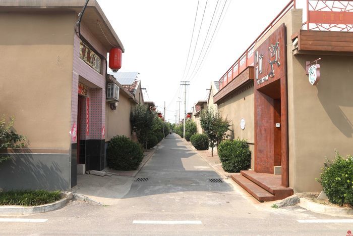 槐荫：纵横通衢畅达八方