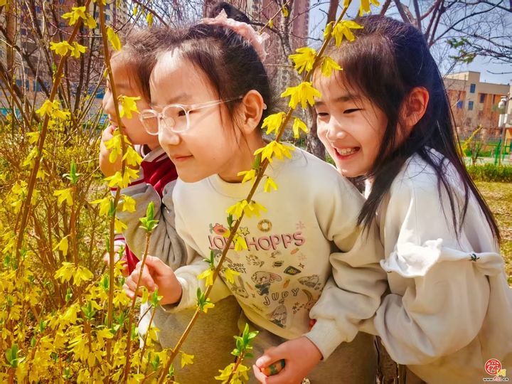 春分启新程 文化润成长 多校开展春分教育活动