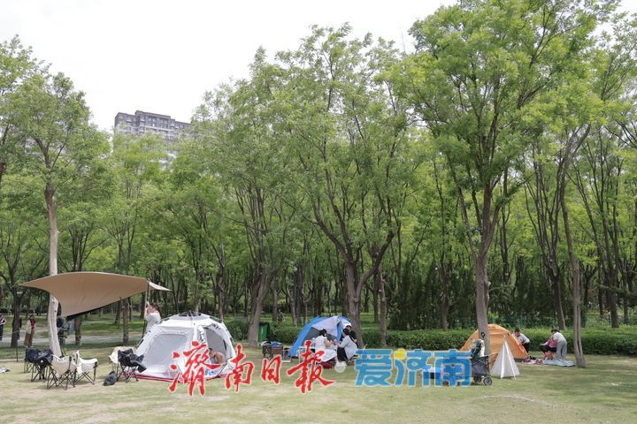 一年四季 泉在济南｜假日躺“营”火出圈 躺平看云享清风