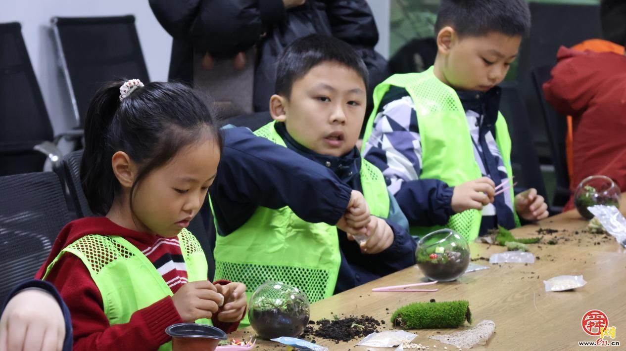 指尖上的绿意！济南园·林惠民行带你DIY专属“迷你森林”