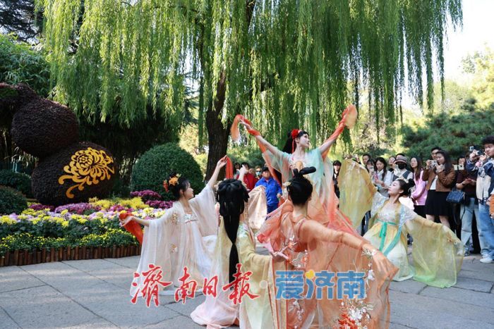 金秋宜赏菊！济南第46届趵突泉金秋菊展将于10月25日启幕
