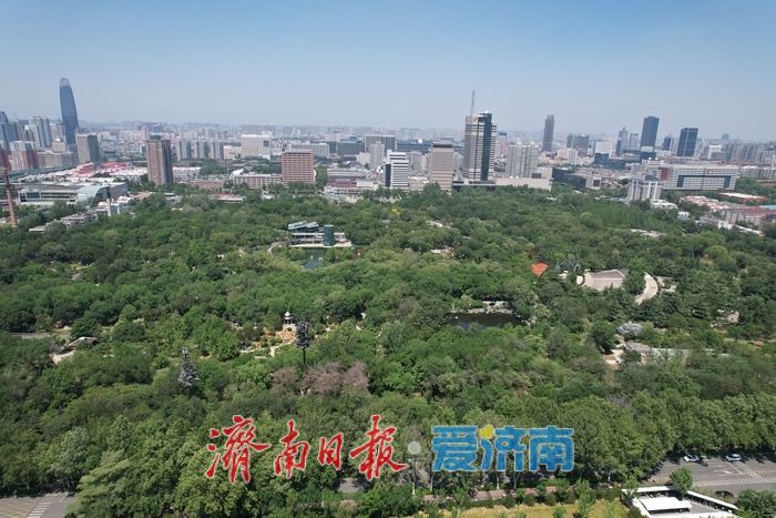 一年四季 泉在济南丨泉城公园绿意盎然，初夏时节展现生态之美